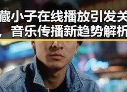 西藏小子在线播放引发关注，音乐传播新趋势解析