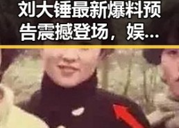 刘大锤最新爆料预告震撼登场，娱乐圈秘密即将揭晓🔍