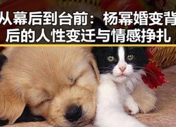 从幕后到台前：杨幂婚变背后的人性变迁与情感挣扎