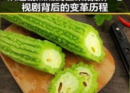 从追剧热潮到全集播放，电视剧背后的变革历程