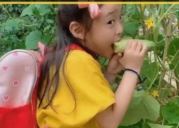 短视频界新星宇文念，如何用幽默撬动年轻人的心？