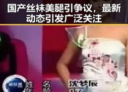 国产丝袜美腿引争议，最新动态引发广泛关注