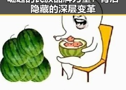 崛起的民族品牌力量：背后隐藏的深层变革