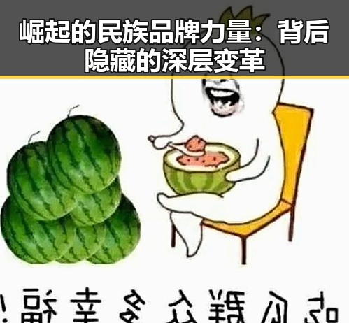 崛起的民族品牌力量：背后隐藏的深层变革