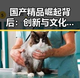 国产精品崛起背后：创新与文化传承的双重驱动力