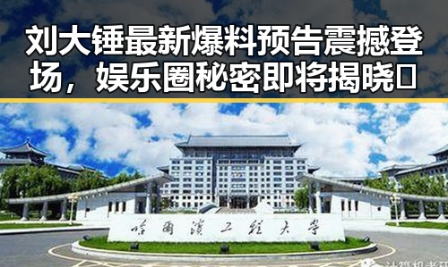 刘大锤最新爆料预告震撼登场，娱乐圈秘密即将揭晓🔍