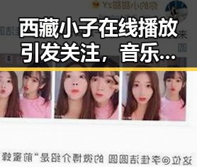 西藏小子在线播放引发关注,音乐传播新趋势解析