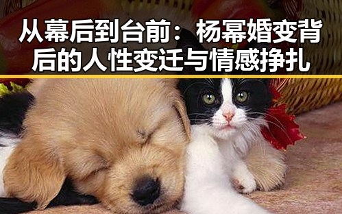 从幕后到台前:杨幂婚变背后的人性变迁与情感挣扎